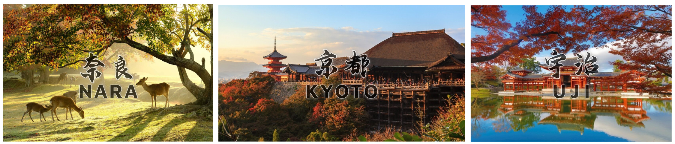 三城 京都 宇治 奈良 主题图.jpg